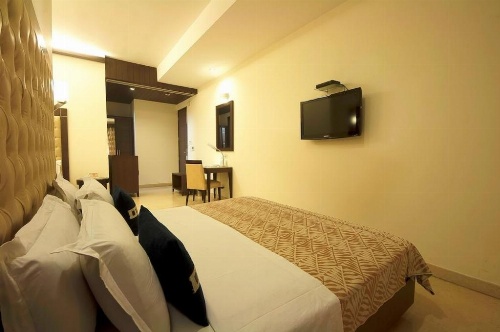 Metropolis Tourist Home image 31