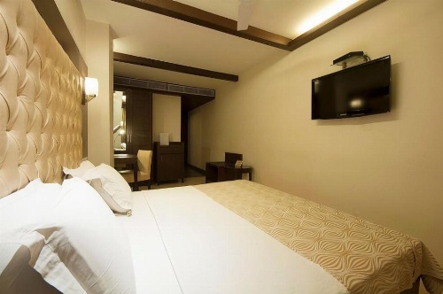 Metropolis Tourist Home image 33